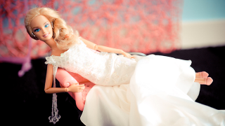 Illustration for article titled See Barbie And Ken's Dream Wedding Album